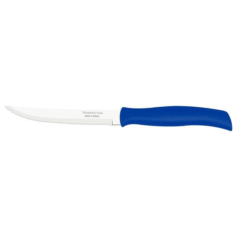 Polypropylene Steak Serrated knife 12.5 cm – Stainless Steel Blade, Ergonomic Blue Handle, Precision Cutting, Durable & Rust-Resistant, Ideal for Steak, BBQ, Kitchen & Dining