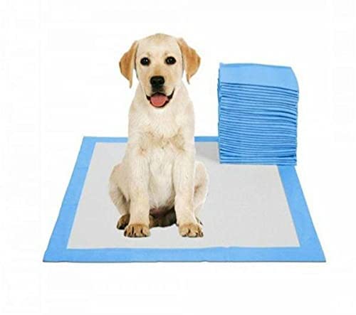 20pcs Pets Pee Pads Super Absorbent Pads for Potty Training 60x90cm 5 Layers Of Protection