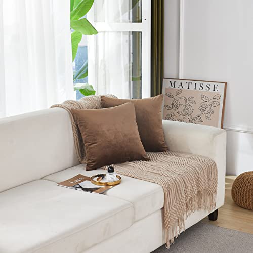 Soft Thick Velvet Throw Pillow Covers Decorative Square Cushion Cover For Couch Sofa Bedroom Living Room - set of 2 Pieces