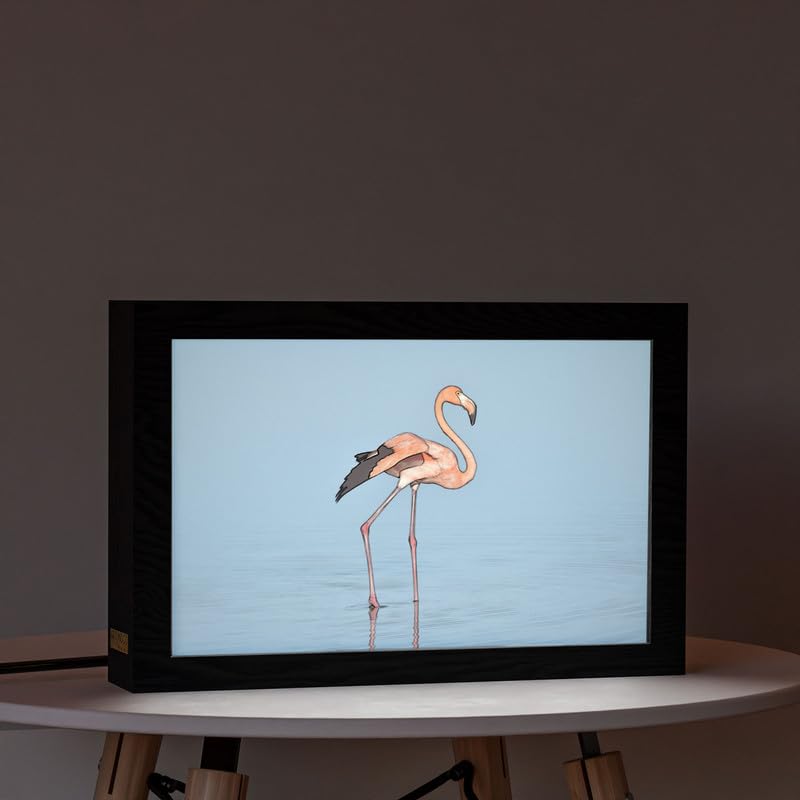 Natrual Wood 2 In 1 Photo Lighting Frame