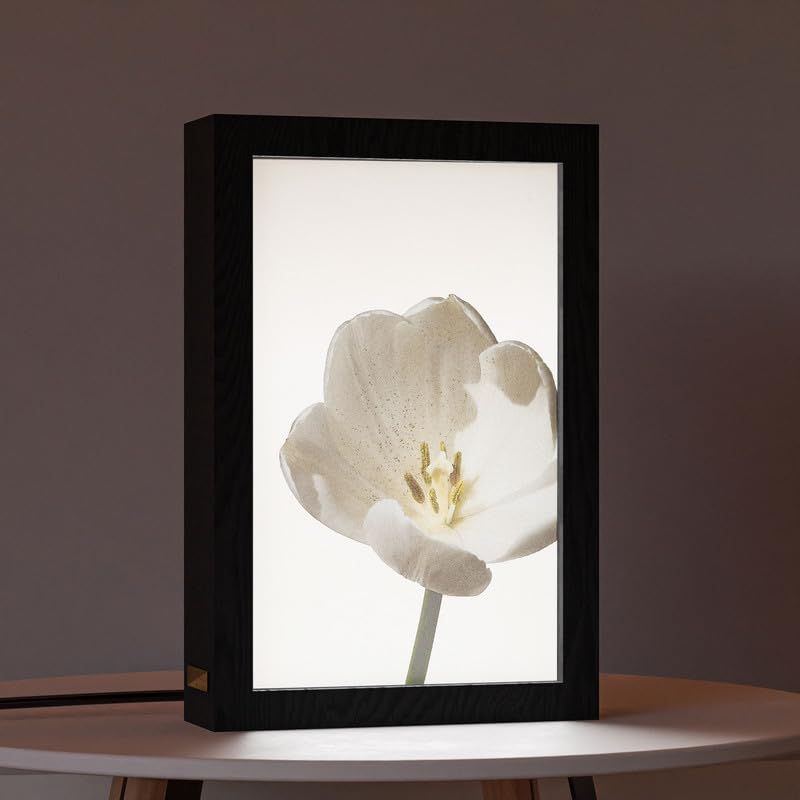 Natrual Wood 2 In 1 Photo Lighting Frame