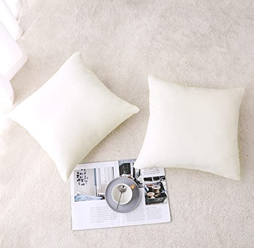 Soft Thick Velvet Throw Pillow Covers Decorative Square Cushion Cover For Couch Sofa Bedroom Living Room - set of 2 Pieces