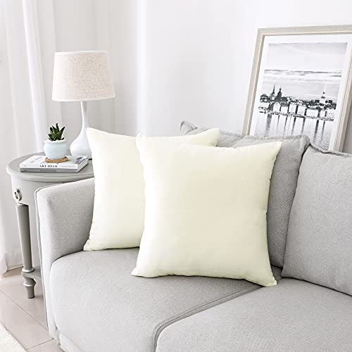 Soft Thick Velvet Throw Pillow Covers Decorative Square Cushion Cover For Couch Sofa Bedroom Living Room - set of 2 Pieces