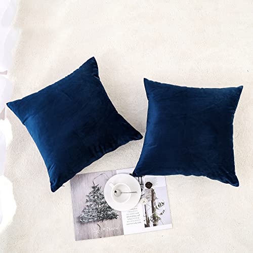 Soft Thick Velvet Throw Pillow Covers Decorative Square Cushion Cover For Couch Sofa Bedroom Living Room - set of 2 Pieces