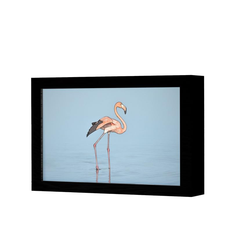 Natrual Wood 2 In 1 Photo Lighting Frame