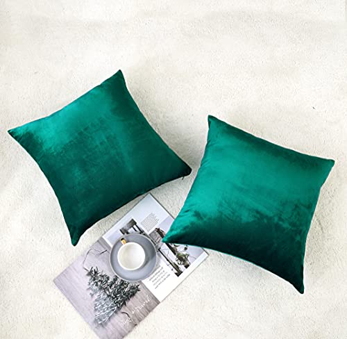 Soft Thick Velvet Throw Pillow Covers Decorative Square Cushion Cover For Couch Sofa Bedroom Living Room - set of 2 Pieces