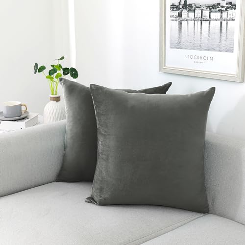 Soft Thick Velvet Throw Pillow Covers Decorative Square Cushion Cover For Couch Sofa Bedroom Living Room - set of 2 Pieces