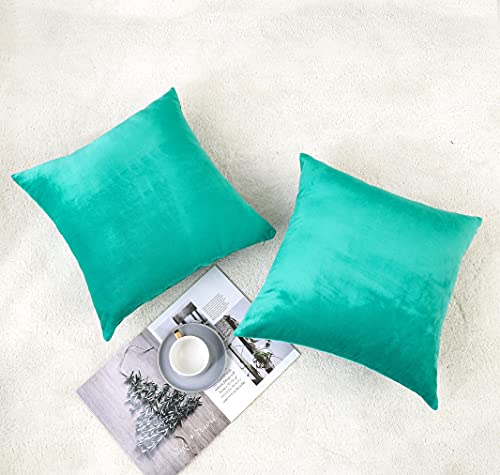 Soft Thick Velvet Throw Pillow Covers Decorative Square Cushion Cover For Couch Sofa Bedroom Living Room - set of 2 Pieces