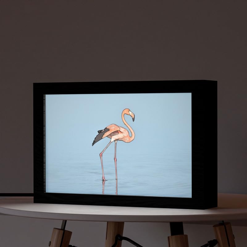 Natrual Wood 2 In 1 Photo Lighting Frame