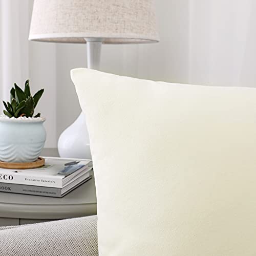 Soft Thick Velvet Throw Pillow Covers Decorative Square Cushion Cover For Couch Sofa Bedroom Living Room - set of 2 Pieces