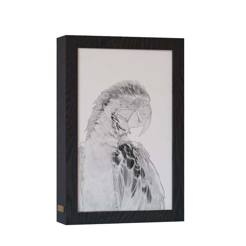 Natrual Wood 2 In 1 Photo Lighting Frame
