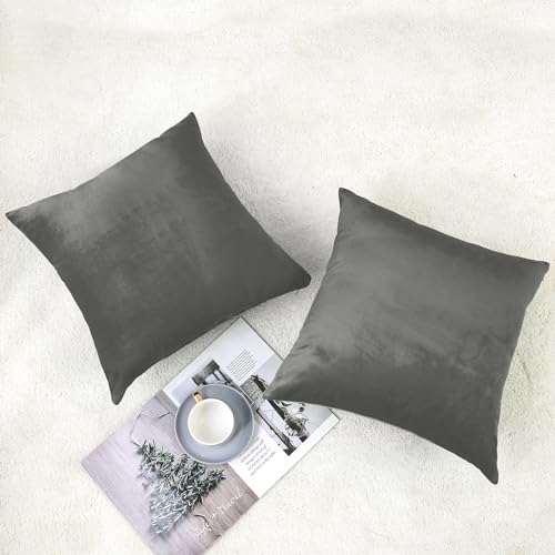 Soft Thick Velvet Throw Pillow Covers Decorative Square Cushion Cover For Couch Sofa Bedroom Living Room - set of 2 Pieces