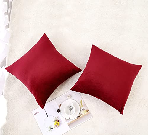 Soft Thick Velvet Throw Pillow Covers Decorative Square Cushion Cover For Couch Sofa Bedroom Living Room - set of 2 Pieces