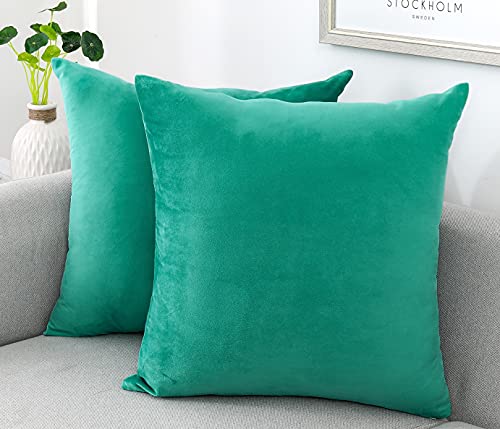Soft Thick Velvet Throw Pillow Covers Decorative Square Cushion Cover For Couch Sofa Bedroom Living Room - set of 2 Pieces