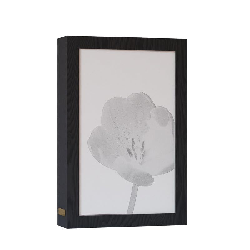 Natrual Wood 2 In 1 Photo Lighting Frame