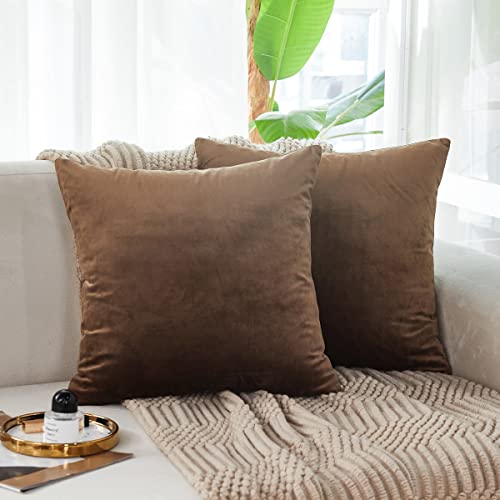 Soft Thick Velvet Throw Pillow Covers Decorative Square Cushion Cover For Couch Sofa Bedroom Living Room - set of 2 Pieces