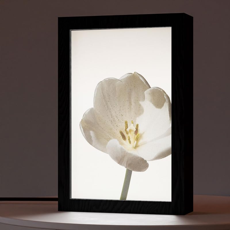 Natrual Wood 2 In 1 Photo Lighting Frame