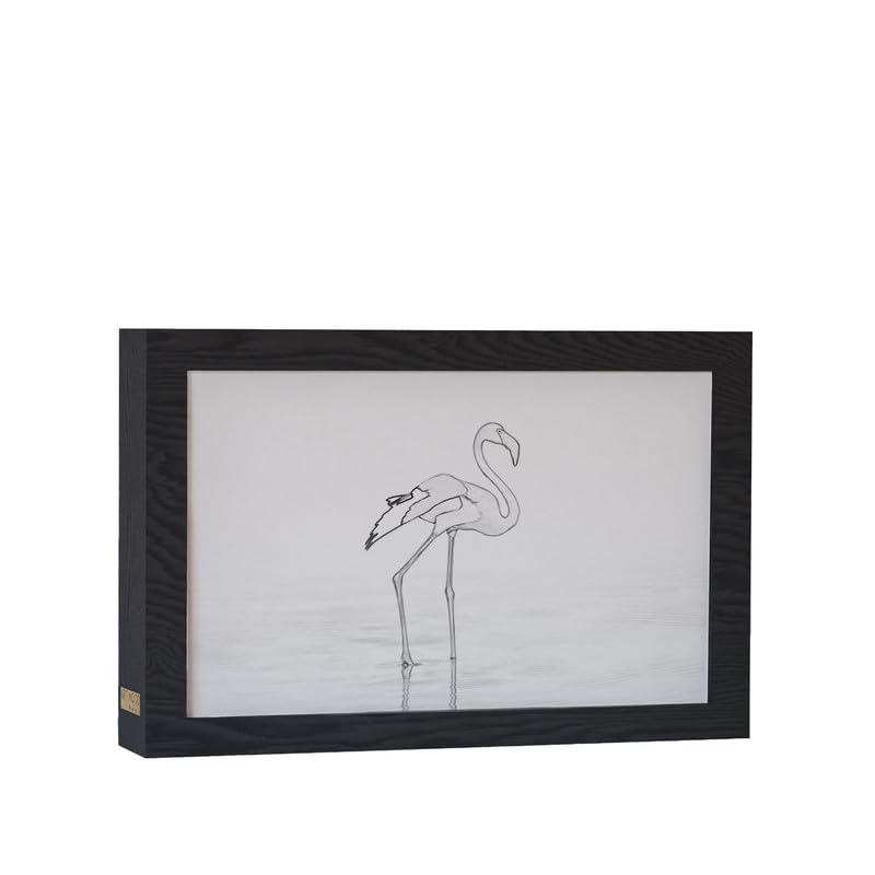 Natrual Wood 2 In 1 Photo Lighting Frame