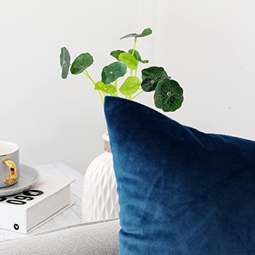 Soft Thick Velvet Throw Pillow Covers Decorative Square Cushion Cover For Couch Sofa Bedroom Living Room - set of 2 Pieces