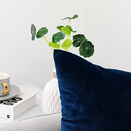 Soft Thick Velvet Throw Pillow Covers Decorative Square Cushion Cover For Couch Sofa Bedroom Living Room - set of 2 Pieces