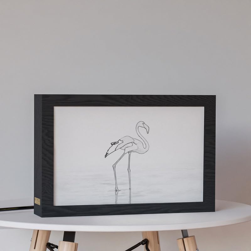 Natrual Wood 2 In 1 Photo Lighting Frame