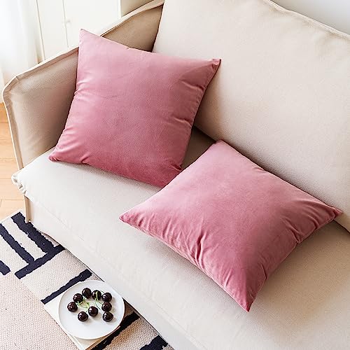 Soft Thick Velvet Throw Pillow Covers Decorative Square Cushion Cover For Couch Sofa Bedroom Living Room - set of 2 Pieces