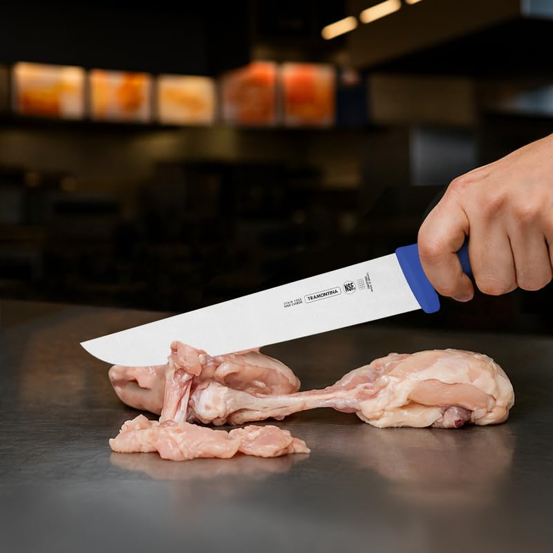 Professional Meat Knife – 10-Inch Stainless Steel Blade with Blue Textured Polypropylene Handle – Precision Cutting Tool