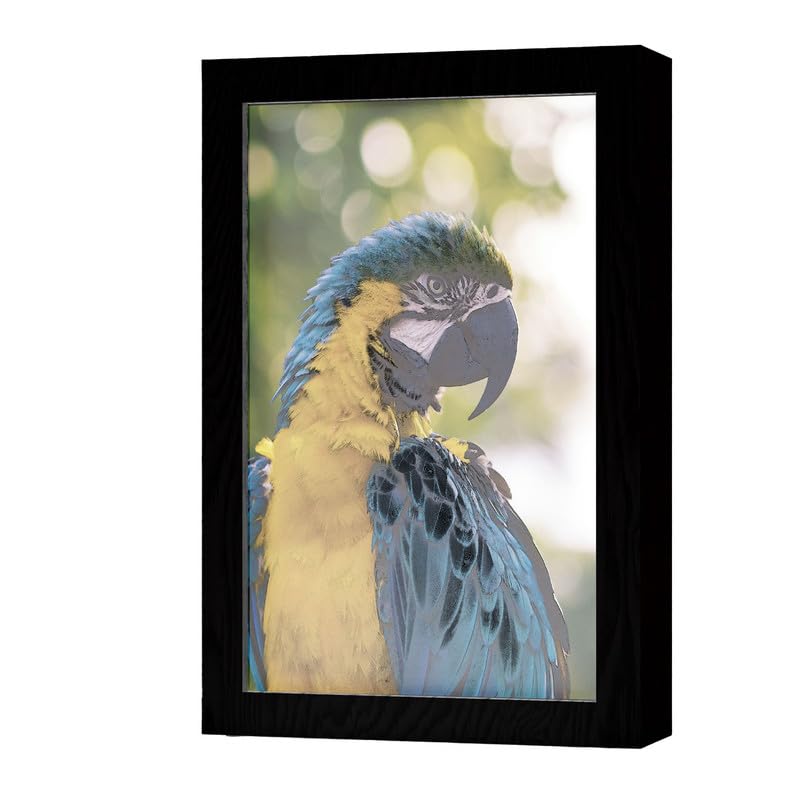 Natrual Wood 2 In 1 Photo Lighting Frame