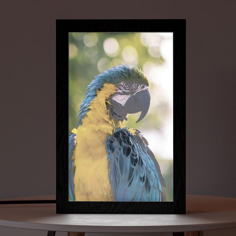 Natrual Wood 2 In 1 Photo Lighting Frame