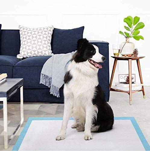 50pcs Pets Pee Pads Disposable Absorbent Quick Drying Leak-Proof Pads for Potty Training 60x90cm