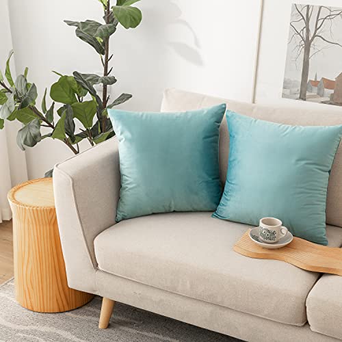 Soft Thick Velvet Throw Pillow Covers Decorative Square Cushion Cover For Couch Sofa Bedroom Living Room - set of 2 Pieces
