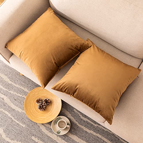 Soft Thick Velvet Throw Pillow Covers Decorative Square Cushion Cover For Couch Sofa Bedroom Living Room - set of 2 Pieces