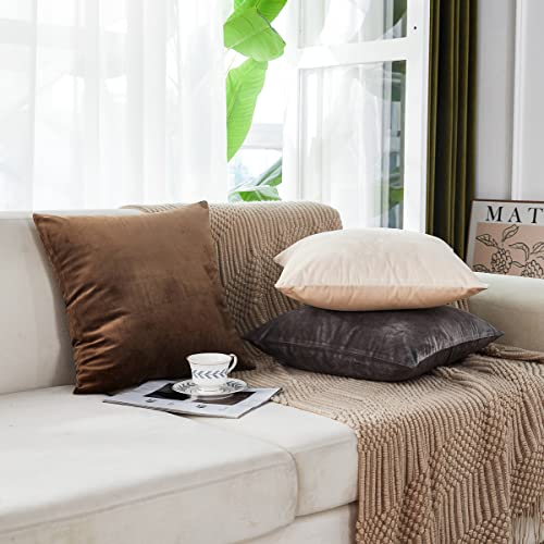Soft Thick Velvet Throw Pillow Covers Decorative Square Cushion Cover For Couch Sofa Bedroom Living Room - set of 2 Pieces