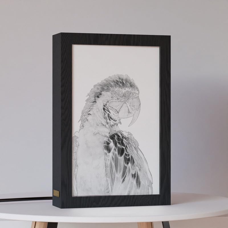 Natrual Wood 2 In 1 Photo Lighting Frame