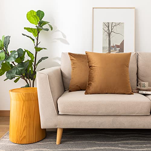 Soft Thick Velvet Throw Pillow Covers Decorative Square Cushion Cover For Couch Sofa Bedroom Living Room - set of 2 Pieces