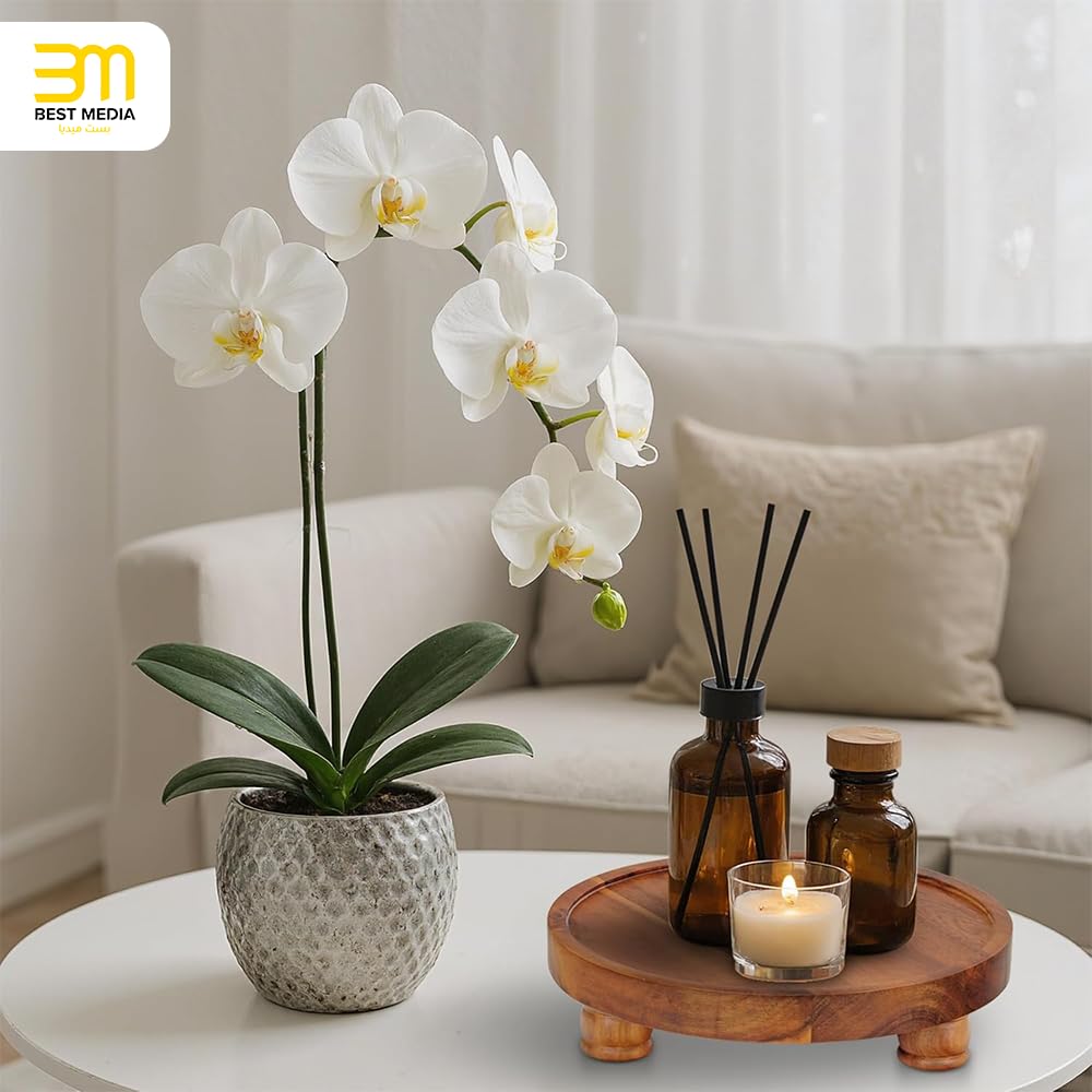 Natural Wood Round Pedestal Stand, Rustic Decorative Riser for Displaying Plants, Candles, and Centerpieces, Elegant Wooden Tray for Kitchen Countertop & Table Decor