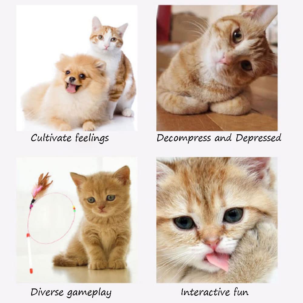 AWAVM 5-Piece Cat Teaser Wand Set - Interactive Feather Wand Toys with Bell for Cats (Small Breeds)