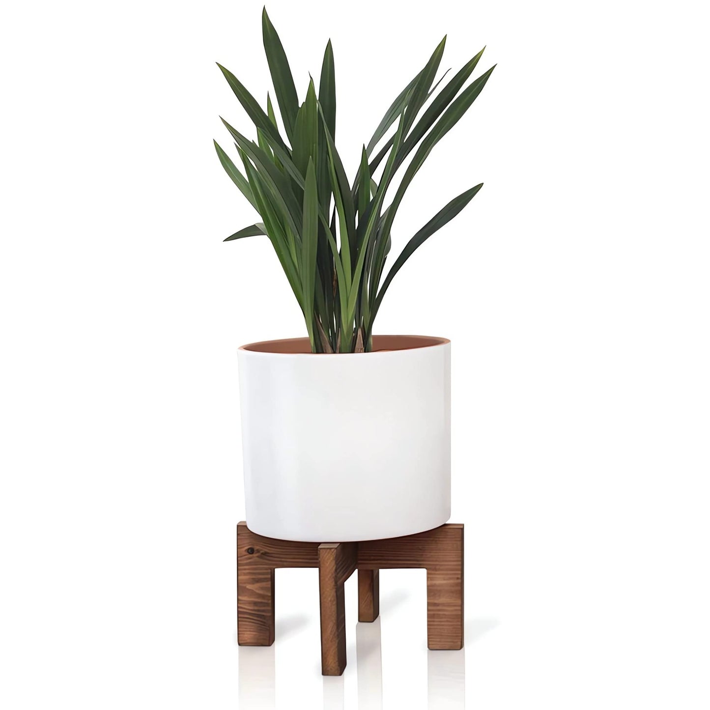 Mid-Century Modern Wood Plant Stand, Adjustable & Reversible Indoor Flower Pot Holder for Various Pot Sizes, Elegant Home Decor Planter Display Stand (Pot Not Included)