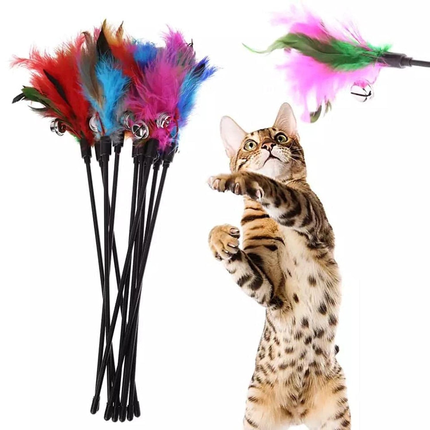 Feather with small bell cat toys