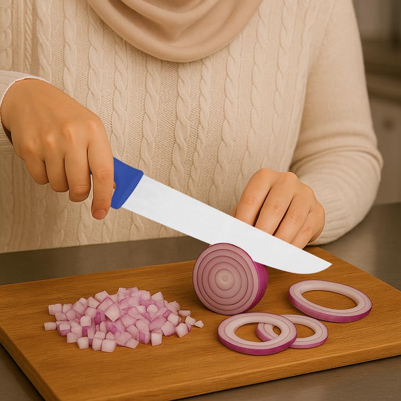 Professional Meat Knife – 10-Inch Stainless Steel Blade with Blue Textured Polypropylene Handle – Precision Cutting Tool