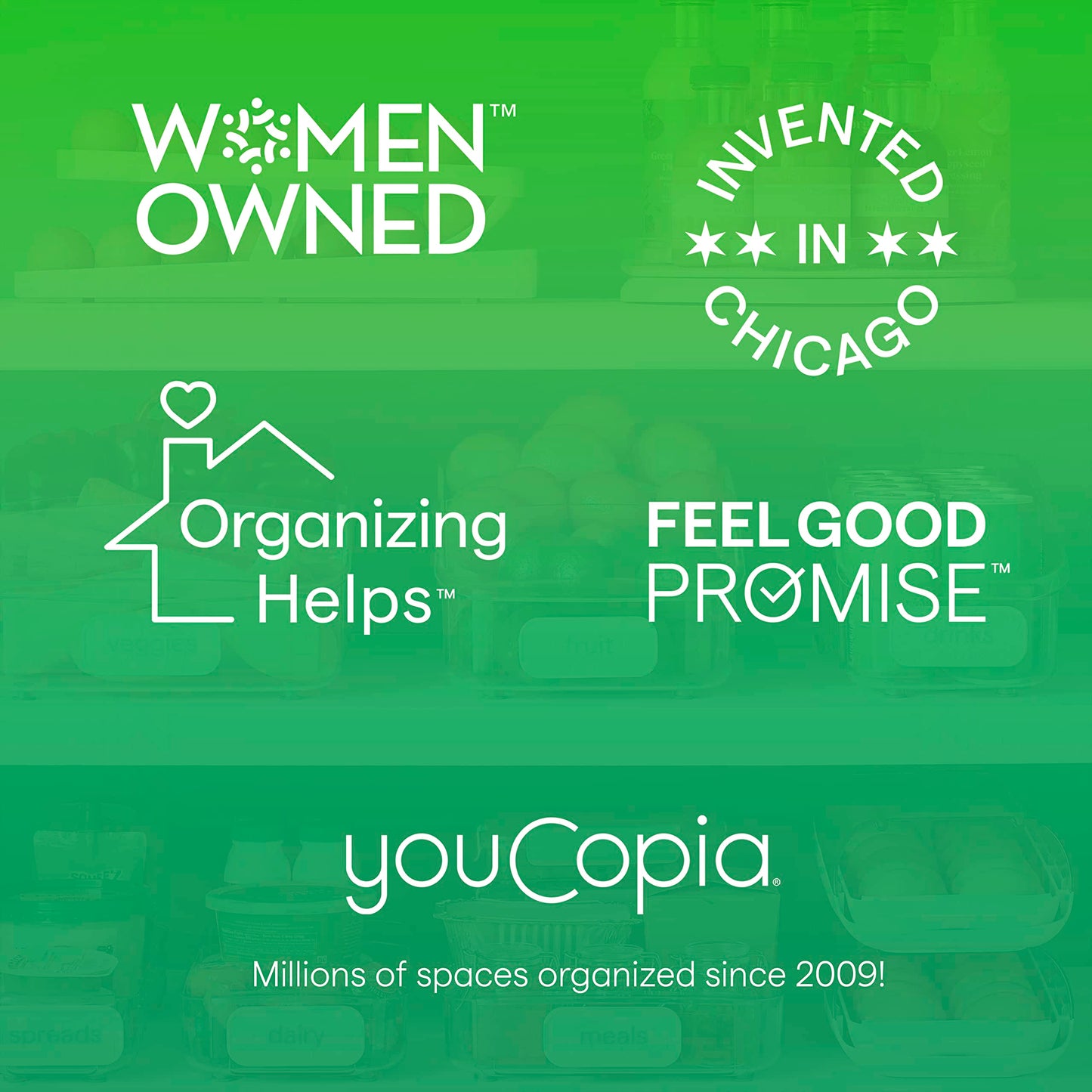 YouCopia RollOut Fridge Caddy, 9" Wide, Clear