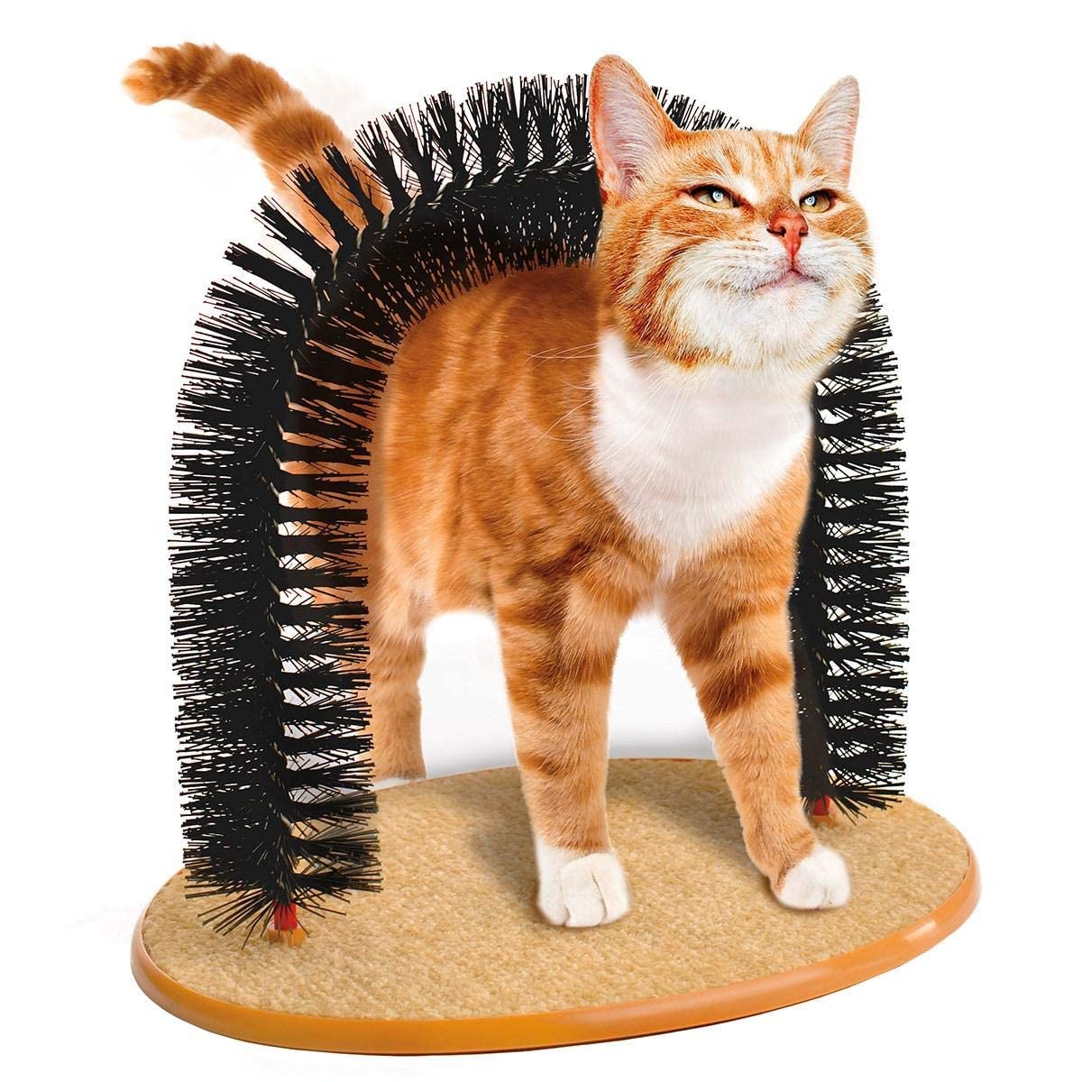 Purrfect Arch Self Groomer Scratching Base Deshedding Tool Catnip Toy for Cat Kitten