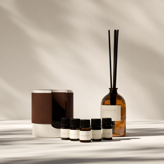 Reed Diffuser Set, 100 ml, Luxury Home Fragrance with Fiber Sticks, Long-Lasting Elegant Scent, Premium Room Freshener for Living Room, Bedroom, and Office Decor