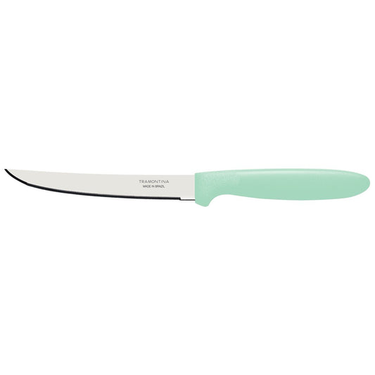 Ipanema Steak Knife – Stainless Steel Blade with Green Polypropylene Handle – Sharp, Durable, and Comfortable for Steak, BBQ, and Kitchen Use – 1 Piece
