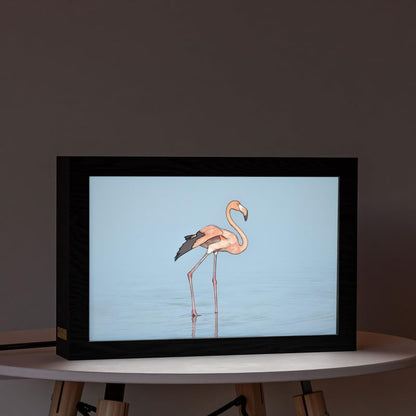 Natrual Wood 2 In 1 Photo Lighting Frame