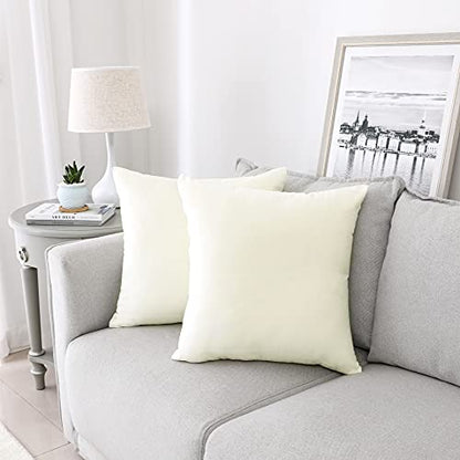 Soft Thick Velvet Throw Pillow Covers Decorative Square Cushion Cover For Couch Sofa Bedroom Living Room - set of 2 Pieces