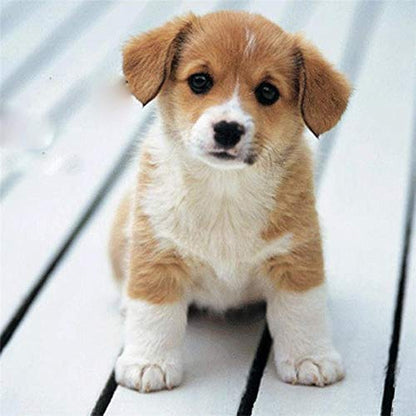 Self groomer pet cat comb brush massage device toys