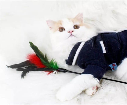 Cat feather toy with bell - random colour