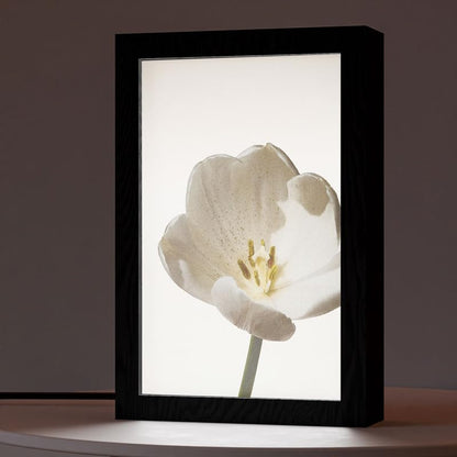 Natrual Wood 2 In 1 Photo Lighting Frame