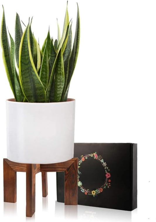 Mid-Century Modern Wood Plant Stand, Adjustable & Reversible Indoor Flower Pot Holder for Various Pot Sizes, Elegant Home Decor Planter Display Stand (Pot Not Included)